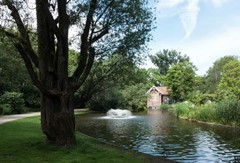 Dusartstraat 45-2_14.jpeg